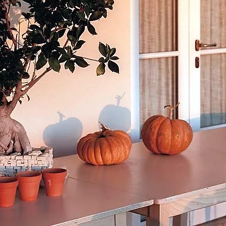 Hotel Masseria Vaccaro - Boutique Brindisi